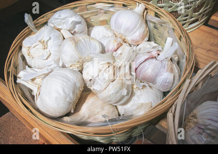 Köpfe der organischen Knoblauch im Korb Stockfoto