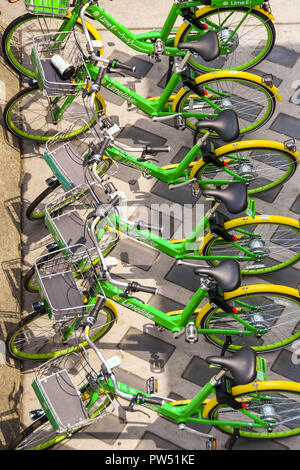 SEATTLE, Washington State, USA - JUNI 2018: die Reihe der Fahrräder in Ihrer doking Stations als Teil der "LimeBike' Rental Program geparkt. Stockfoto