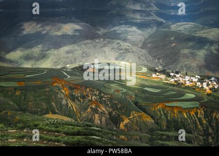 Erstaunlich Felder von Reis im nördlichen China - von Dan Yeger fotografiert. Stockfoto