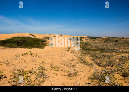 Wüste, Cabo de la Vela, Punta gallinas, nordöstliche Kolumbien Stockfoto