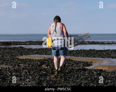 Garnelen Fischen vom Ufer am Blue Anchor Strand Bristol Channel UK Stockfoto