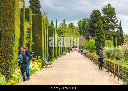 Granada, Spanien - 5/6/18: Touristen in einem Garten mit einem langen Korridor und hohen Büsche und Bäume, viele Blumen und Bänke. Granada, Spanien Stockfoto