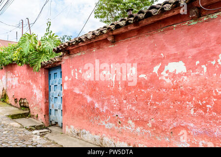 Überwucherte rot, rustikal, verwitterte Haus außen mit blauen Tür & gepflasterten Straße in Mittelamerika. Stockfoto