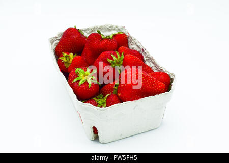 Erdbeeren im Karton, punnet von Erdbeeren auf weißem Hintergrund Stockfoto