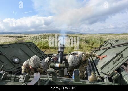 Us-Soldaten an die Zentrale und Sitz der Gesellschaft, 3.Bataillon, 21 Infanterie Regiment zugeordnet, 1 Stryker Brigade Combat Team, 25 Infanterie Division, führen Sie eine Live Fire Übung mit einem RMS 6 L 120 mm Mörser System auf einem M 1129 Mörtel Träger als Teil der Übung Orient Shield 2017 am Lager Fuji, Japan, Sept. 19, 2017. Die Übung ist so konzipiert, den USA und Japan zur Bekämpfung der Bereitschaft und der Interoperabilität auf der taktischen Ebene zu verbessern, während der Ausbau der bilateralen Beziehungen und die Demonstration USA lösen die sicherheitspolitischen Interessen von Freunden und Verbündeten in der Region zu unterstützen. Stockfoto