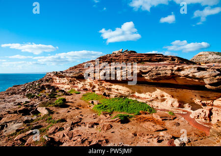 Red Bluff Sandstein - Kalbarri - Australien Stockfoto