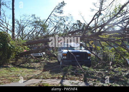 Panama City, USA. 11 Okt, 2018. 11. Oktober 2018, Deutschland, Panama City: Baum fällt die Blockade nach dem Hurrikan Michael. Credit: shabtai Gold/dpa/Alamy leben Nachrichten Stockfoto