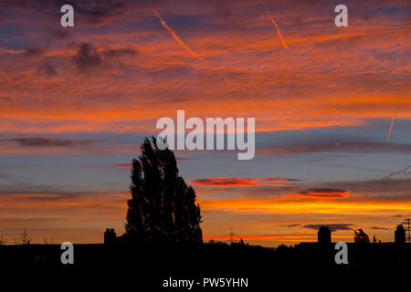 Wimbledon, London, UK. 13. Oktober, 2018. London wacht auf und Red Skies mit Winde aus dem Süden bringt ungewöhnlich warmen Temperaturen bis in die Stadt. Credit: Malcolm Park/Alamy Leben Nachrichten. Stockfoto