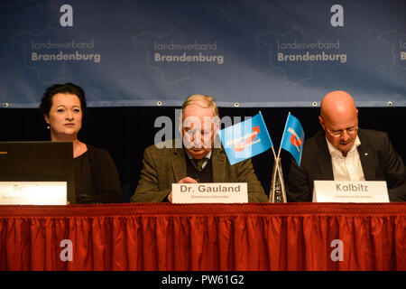 13 Oktober 2018, Brandenburg: Der stellvertretende Landesvorsitzende Birgit Bessin (von links nach rechts), Lautsprecher und Ehrenpräsident Alexander Gauland und regionaler Vorsitzender Andreas Kalbitz sitzen auf dem Podium an der AfD Parteitag der regionalen Ausschuss in Brandenburg. Foto: Julian 1603/dpa Stockfoto