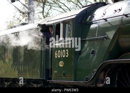 Der Feuerwehrmann auf die fußplatte von Flying Scotsman, als sie ein Anschlussgleis an der Ostküste Mail Zeile verlässt, dem Anhalten auf Wasser zu nehmen Während eines Ausflug geplant als Denkmal zu Alan Pegler, der Mann, der die Lok aus dem Schrottplatz 1963 gespeichert. Hier sehen Sie ein paar Meilen nach dem Abschnitt im Sutton Bank, wo sie den Geschwindigkeitsrekord von 100 mph in 1934 und wo während des Memorial Run Alan Peglar der Asche auf die firebox begangen wurden gesichert. Stockfoto