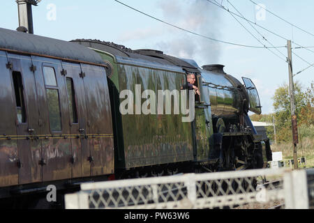 Der Feuerwehrmann auf die fußplatte von Flying Scotsman, als sie ein Anschlussgleis an der Ostküste Mail Zeile verlässt, dem Anhalten auf Wasser zu nehmen Während eines Ausflug geplant als Denkmal zu Alan Pegler, der Mann, der die Lok aus dem Schrottplatz 1963 gespeichert. Hier sehen Sie ein paar Meilen nach dem Abschnitt im Sutton Bank, wo sie den Geschwindigkeitsrekord von 100 mph in 1934 und wo während des Memorial Run Alan Peglar der Asche auf die firebox begangen wurden gesichert. Stockfoto