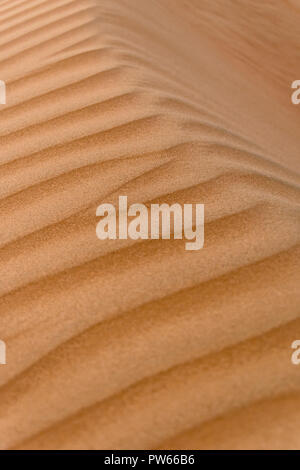 Sanddünen mit Wind ausgeblasen Muster, Wahabi Sands, Oman Stockfoto