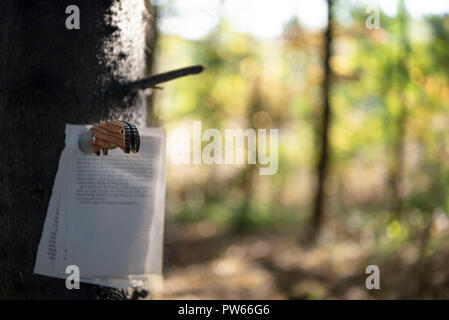 Geschriebene buch Seiten mit einer Jagd Messer an einem Baumstamm fest, in einem Wald, an einem sonnigen Tag im Herbst. Selektiver Fokus Bild. Stockfoto