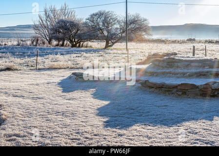 Frost auf einem Bauernhof in der Nähe von Sutherland in der Northern Cape Provinz. Regenbogen Farben sichtbar ist Stockfoto