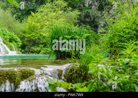 Blick auf Wasserfälle im Nationalpark Plitvicer Seen, Kroatien Stockfoto
