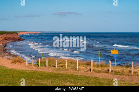 Einen Strand entlang einer zentralen Küste in Prince Edward Island, Atlantik Kanada Stockfoto