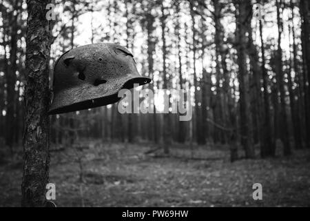 Durch Kugeln und Granatsplittern Metal Helm der Deutschen Infanterie Soldat der Wehrmacht im Zweiten Weltkrieg beschädigt Rusty Helm Hängen am Baum. Foto in Schwarz Stockfoto