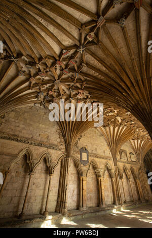 UK, Kent, Canterbury, Canterbury Kathedrale, der Große Kreuzgang. Rippe gewölbte Decke Stockfoto
