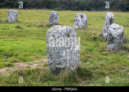 Einige der stehenden Steine, die die späten Neolithischen steinkreis als Merry Maidens in Cornwall, England, Großbritannien bekannt zu machen Stockfoto