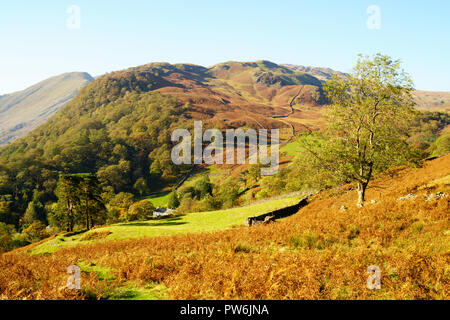 Blick hinunter auf das Dorf Seatoller, Borrowdale, Cumbria, England, Großbritannien Stockfoto