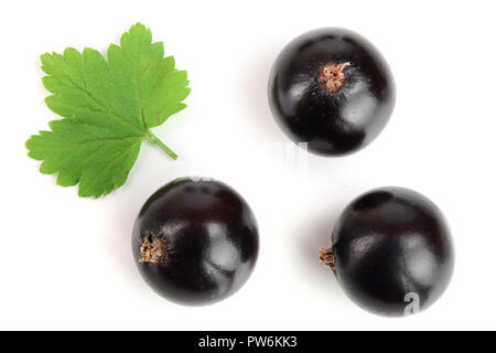 Schwarze Johannisbeere mit Blättern auf weißem Hintergrund. Ansicht von oben. Flach Muster Stockfoto