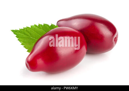 Rote beeren cornel oder Hartriegel mit Blatt auf weißem Hintergrund Stockfoto