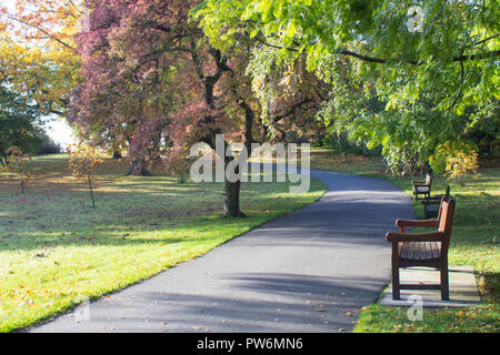 Bank in einem Park, an einem wunderschönen Herbsttag, Stockfoto