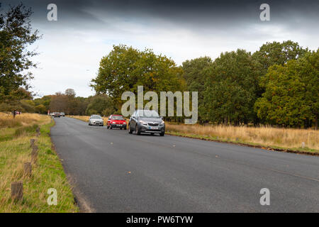 Herbst im Richmond Park, London Stockfoto