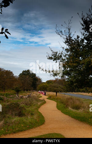 Herbst im Richmond Park, London Stockfoto