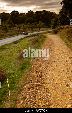 Herbst im Richmond Park, London Stockfoto