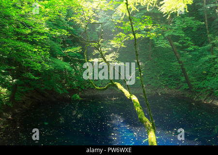 Zwölf Seen in Aomori Präfektur Stockfoto