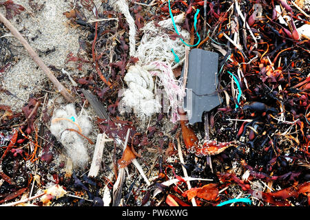 Plastik Müll verursacht Verschmutzungen Probleme an einem Sandstrand - Johannes Gollop Stockfoto