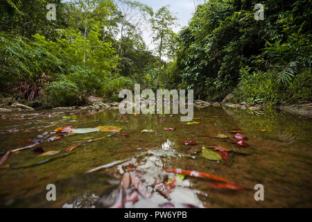 Budlaan Wasserfälle outdoor Aktivitäten Wandern entlang eines Flusses creek Wasserlauf vorbei Bambus Brücke, Serie von Bildern in Cebu Provinz Stockfoto