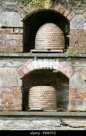 Bienenstöcke in eine Wand an der Verlorenen Gärten von Heligan, Cornwall, Großbritannien Stockfoto