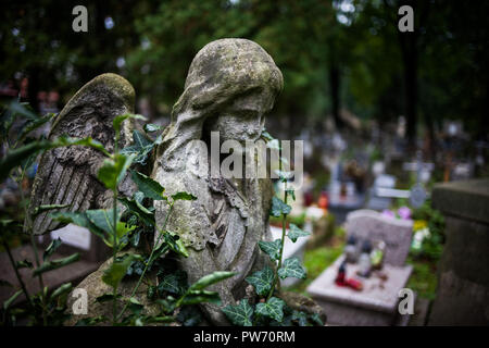 Kleine Engel Statue aus dem 19. Jahrhundert in der alten Nekropole in Krakau, Polen, Friedhof Grabstein vintage Skulptur von einem jungen Mädchen mit Flügeln, flacher, de Stockfoto