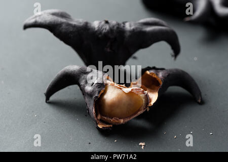 Wasser caltrop auf schwarzem Hintergrund, Wasser, Kastanie, Trapa natans Stockfoto