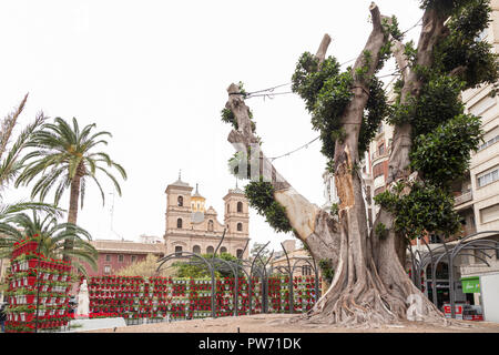 Plaza de Santo Domingo in Murcia, die während der Feiertage im Frühling 2018, Struktur mit Töpfen in Rot und Weiß, Spanien Stockfoto