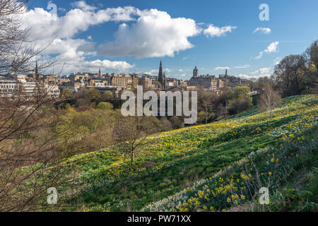 Blumen in den Princes Street Gardens, aufsteigend zum Schloss, Edinburgh, Schottland, Großbritannien Stockfoto