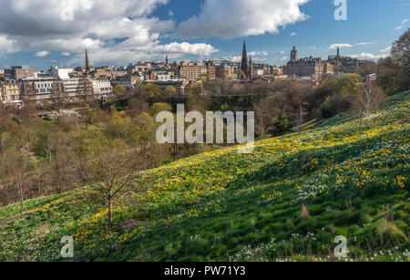 Blumen in den Princes Street Gardens, aufsteigend zum Schloss, Edinburgh, Schottland, Großbritannien Stockfoto