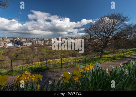 Blumen in den Princes Street Gardens, aufsteigend zum Schloss, Edinburgh, Schottland, Großbritannien Stockfoto