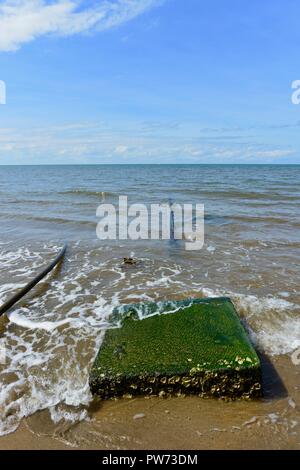 Ansaugrohre für Salzwasser für eine Prawn Farm, Szenen von Flying Fish point, QLD, Australien Stockfoto