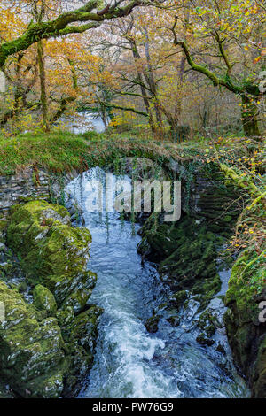 Römische Brücke in Fairy Glen North Wales Stockfoto