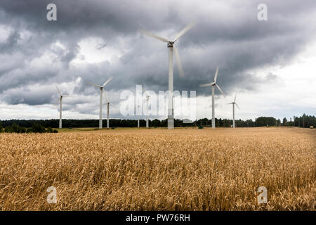 Kuldiga, Lettland. 21 August, 2014. Windkraftanlagen auf landwirtschaftlichen Flächen außerhalb Kuldiga, Lettland. Stockfoto