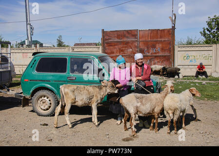 Mals Basar (мал базары) / tiermarkt Basar in Karakol, Kirgisistan Stockfoto