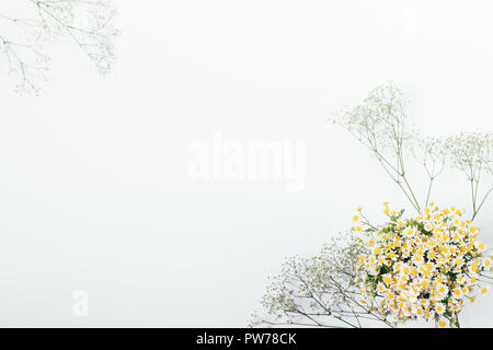Draufsicht auf die Zusammensetzung der beiden Blumensträuße in Ecken mit leere Mitte. Minimale festliche flach Rahmen der schöne kleine Gänseblümchen und gypsophila Blumen. Stockfoto