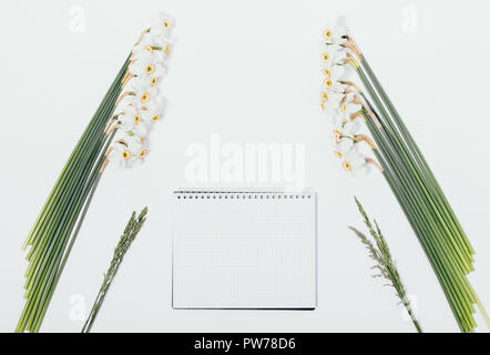 Blick von oben auf die leere notepad unter Narzissen Blumen auf weißem Hintergrund. Symmetrische floral Flachbild Layout mit leeren Blatt in der Mitte. Stockfoto