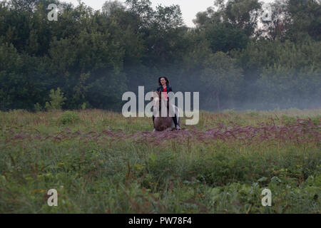 Frau an einem nebligen Bereich reiten pferde Stockfoto