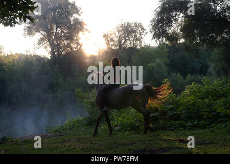 Junge Frau auf einem weißen Pferd auf eine schöne Landschaft. Klare See am Morgen Nebel. Stockfoto