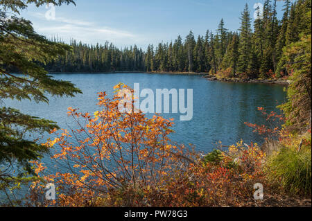 Untere See im Olallie Scenic Area, Mt. Hood National Forest, Oregon Stockfoto