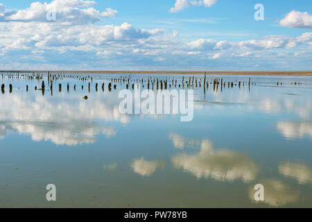 Steine und Reflexion des Himmels in den Salzsee von Elton, Russland Stockfoto